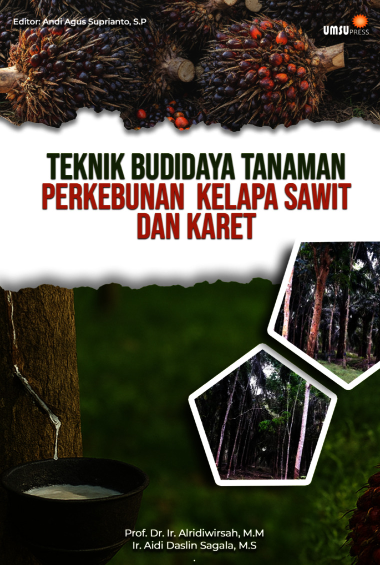 Teknik Budidaya Tanaman Perkebunan Kelapa Sawit Dan Karet