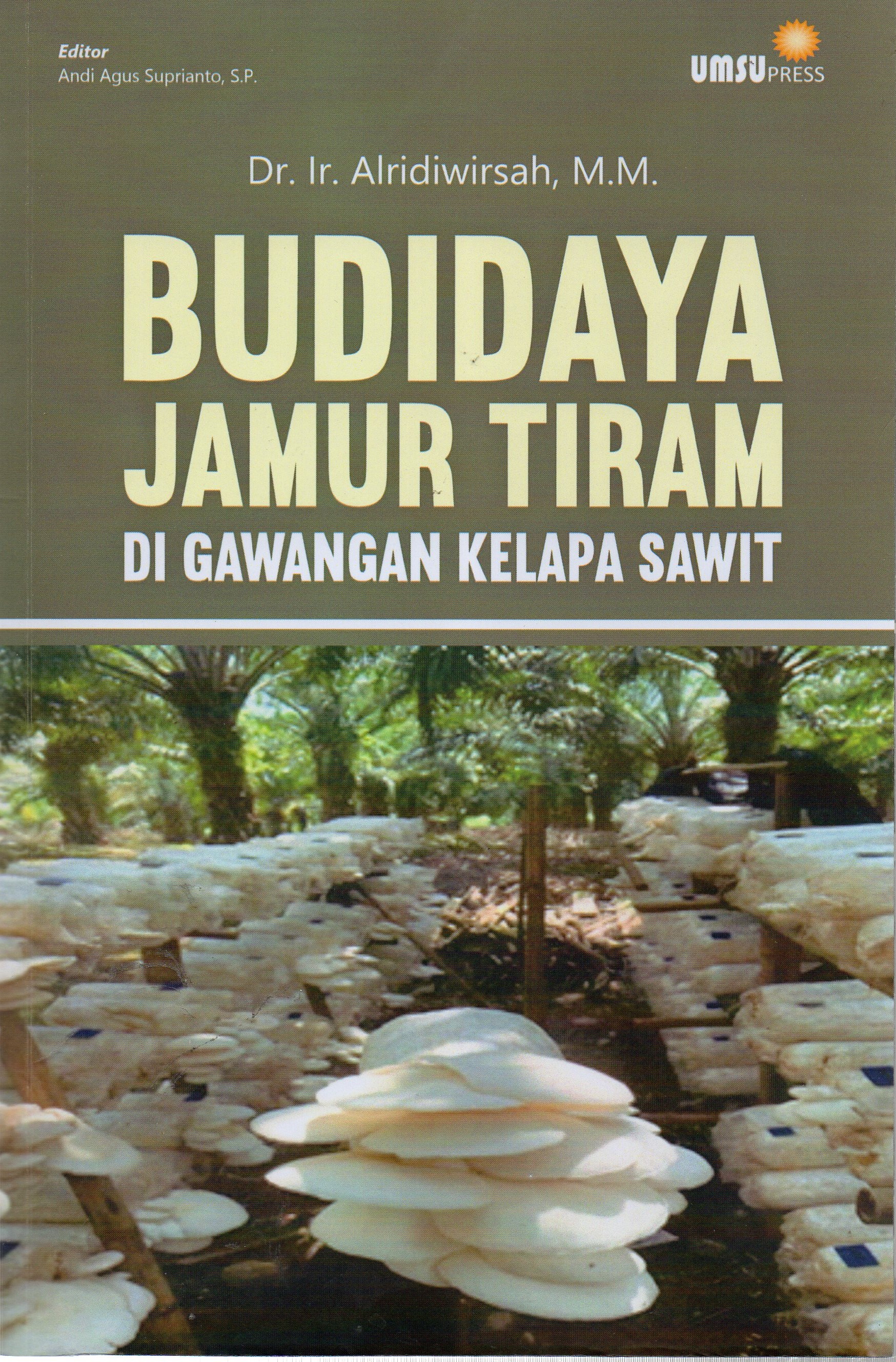 Budidaya Jamur Tiram di Gawangan Kelapa Sawit