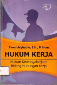 Hukum Kerja, Hukum Ketenagakerjaan Bidang Hubungan Kerja