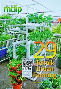 29 teknik urban farming