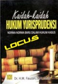 Kaidah-kaidah hukum yurisprudensi : norma-norma baru dalam hukum kasus
