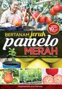 Bertanam jeruk pamelo merah