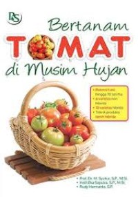 Bertanam tomat di musim hujan