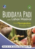 Budidaya Padi pada Lahan Marjinal Kiat Meningkatkan Produksi Padi