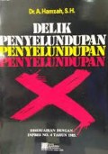 Delik penyelundupan