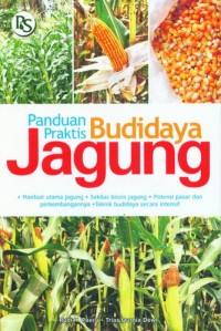 Panduan praktis budidaya jagung