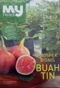 Prospek bisnis buah tin