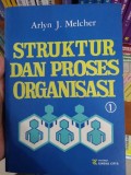 Struktur dan proses organisasi