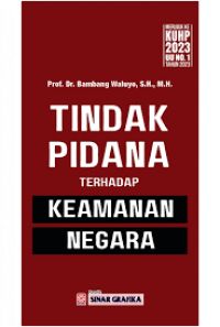 Tindak Pidana Terhadap Keamanan Negara