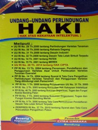 Undang-undang perlindungan HAKI (hak atas kekayaan intelektual)