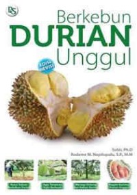 Berkebun durian unggul