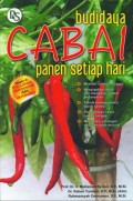 Budidaya cabai panen setiap hari