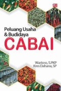 Peluang usaha & budidaya cabai