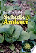 Bertanam selada dan andewi