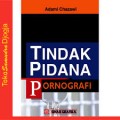Tindak Pidana Pornografi