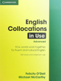 English collocations in advanced use