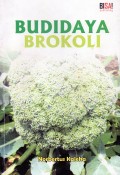 Budidaya Brokoli