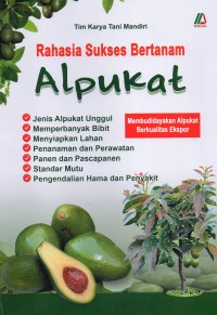 Rahasia sukses bertanam alpukat