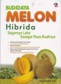 Budidaya melon hibrida: segarnya laba sesegar rasa buahnya